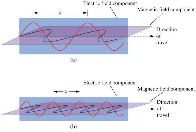 3.0 ER: Dalga Özelliği Elektromanyetik dalgalar birbirine ve dalganın hareket yönüne dik olarak salınan elektrik ve manyetik alanlardan oluşur.