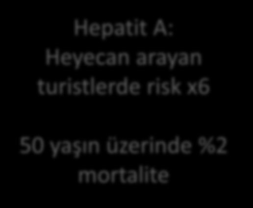 Önerilen Aşılar Hepatit A ve B Tifo Japon ensefaliti Kolera Sıtma Meningokok menenjiti Hepatit A: Heyecan arayan turistlerde risk x6 50