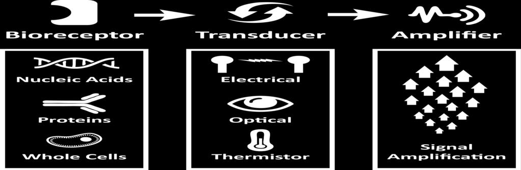 saptanabilir bir değişikliğe neden olabilen, ve bu etkileşimi uygun bir elektronik sinyal haline getirebilen bir