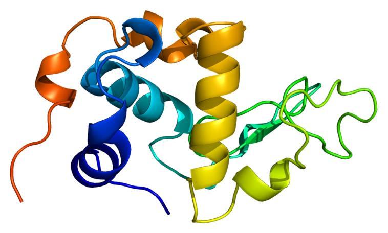 217 SÜT SERUM PROTEİNLERİ Çöktürme yöntemi ile örneğin asit ilavesi ile yağsız sütten kazein uzaklaştırılırsa solüsyonda kalan