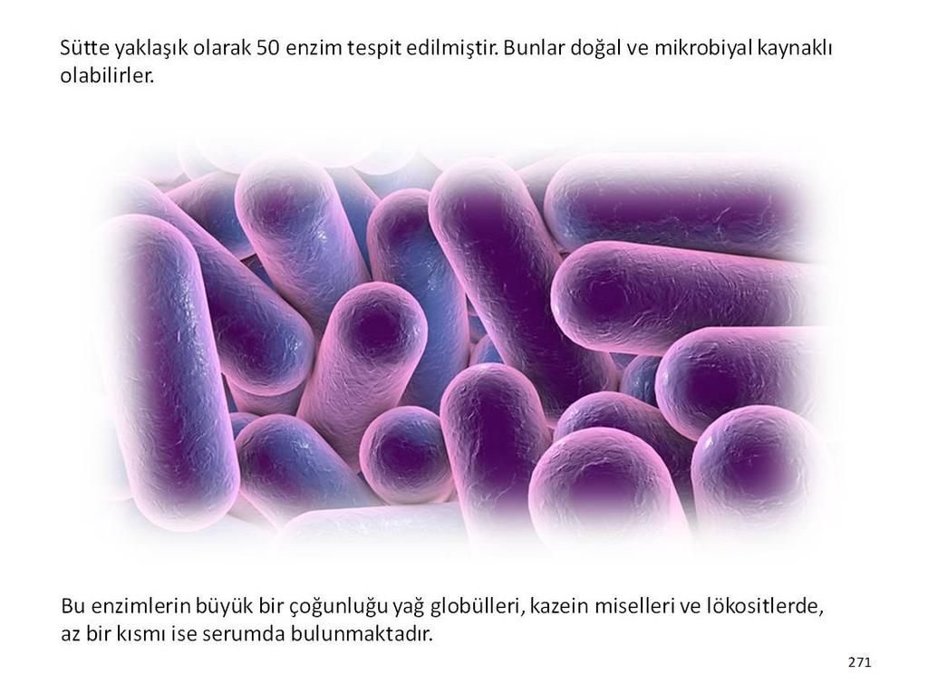 Sütte yaklaşık olarak 50 enzim tespit edilmiştir. Bunlar doğal ve mikrobiyal kaynaklı olabilirler.