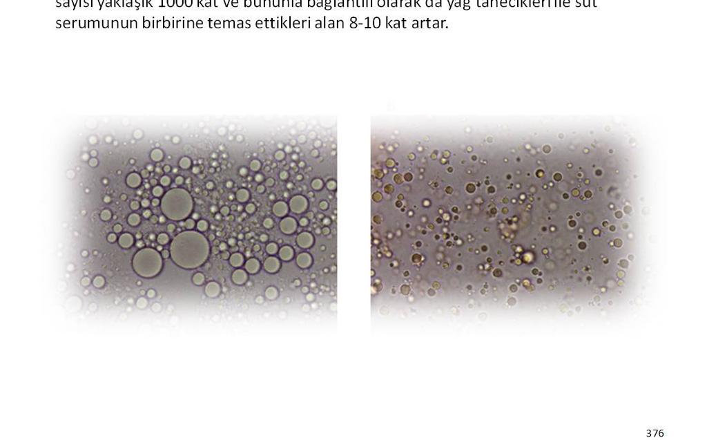 Bilindiği gibi, sütteki yağ taneciklerinin etrafında protein-fosfolipid kompleksinden oluşan ve emülsiyonu sağlayan bir zar (membran) vardır.