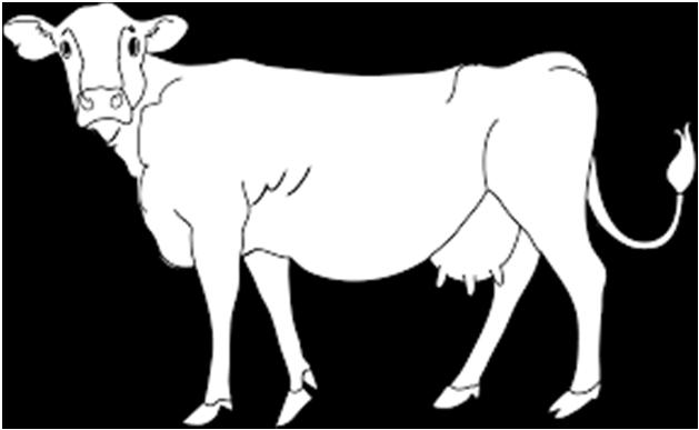 Sadece süt sözcüğü, temel süt kaynağı olarak kabul edilen inek sütlerini kapsar. Yani süt denildiği zaman inek sütü anlaşılır.