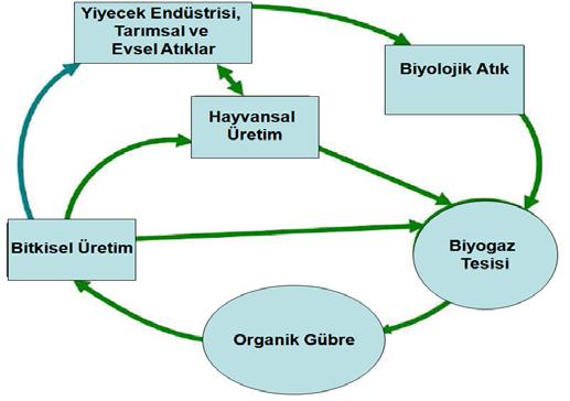 ile toplanan atıklar homojenize edilerek fermentasyon tankına gönderilmektedir.