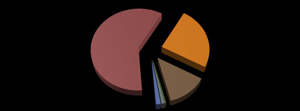 KURULU GÜÇTE YENİLENEBİLİR ENERJİNİN PAYI HİDROLİK BARAJLI 60% HİDROLİK AKARSU 25% RÜZGAR 13% GÜNEŞ (LİSANSSIZ) 0% JEOTERMAL 1% BİYOKÜTLE +BİYOGAZ 1% 30 NİSAN 2015 SONU İTİBARİYLE YAKIT CİNSLERİ