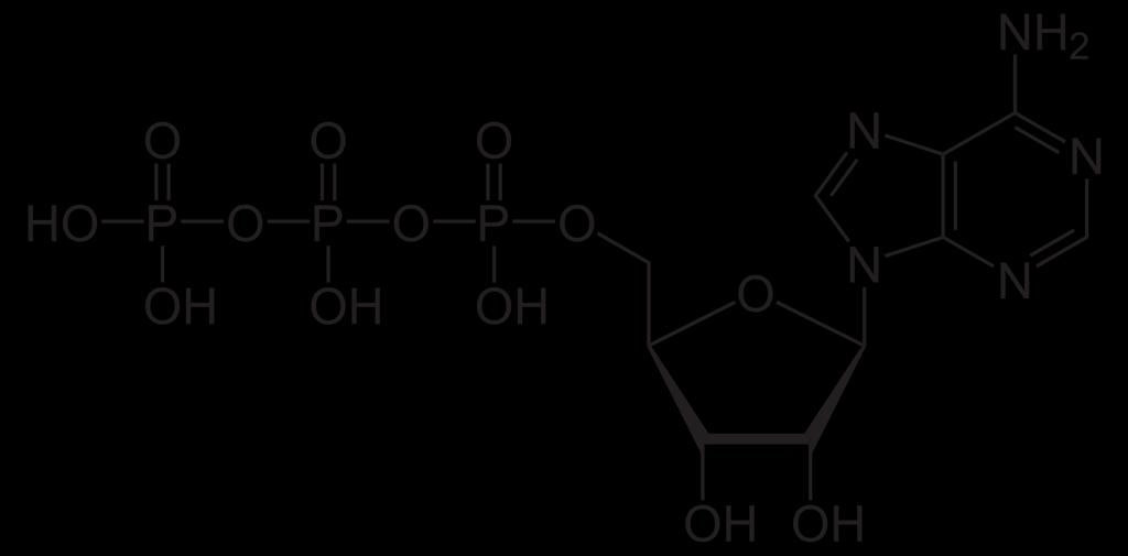 130 ATP