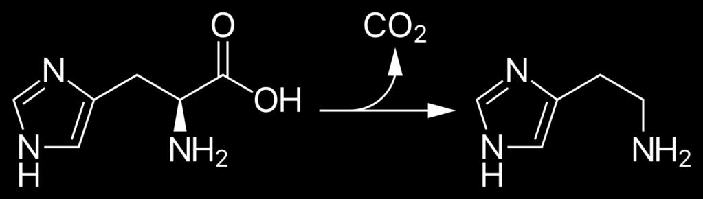 Amino asitlerin dekarboksilasyonu Kaynak: Ası T.