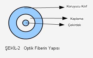 İkiz gökkuşakları Yansımalı gökkuşakları Gökkuşağı tekerleği Ay gökkuşağı SORU: Newton halkaları nedir?