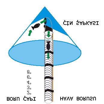 SÜREKLİ YAPILAN