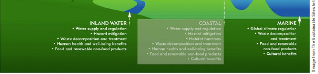 Peyzaj Tiplerine Göre Ekosistem Hizmetleri KIYI ALANLARI Su sağlama ve dengeleme Afet zararlarını azaltma Yaşam alanı fonksiyonları
