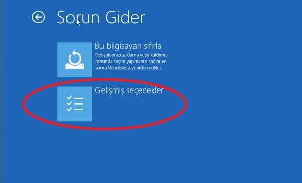 Daha sonra Gelişmiş Seçenekler sekmesine tıklanır.