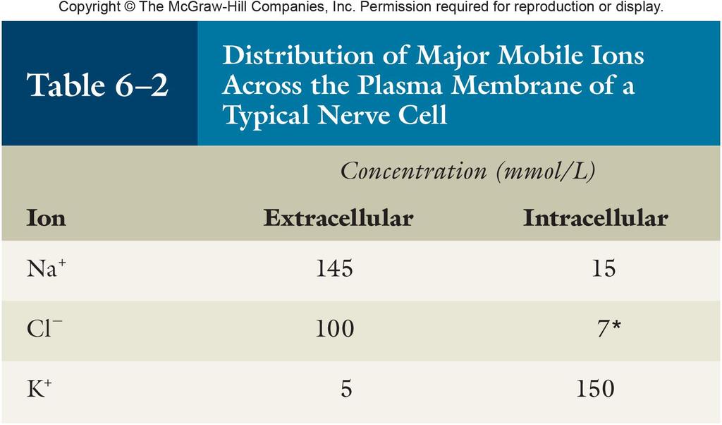 23 Tipik bir Sinir hücresi zarının iç ve dışında iyon