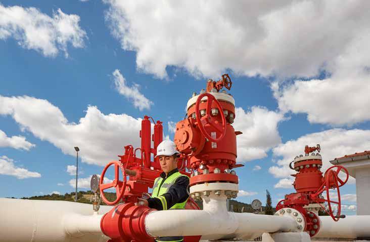 Doğal Gaz Dağıtımı ve Satışı Zorlu Enerji Grubu nun doğal gaz dağıtım ve satış faaliyetleri Trakya Bölgesi Doğal Gaz Dağıtım AŞ, Gazdaş Gaziantep Doğal Gaz Dağıtım AŞ, Zorlu Doğal Gaz İthalat ve