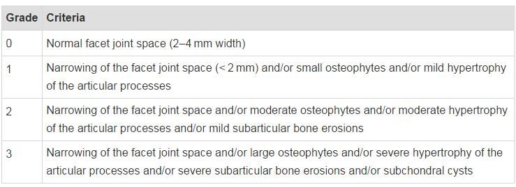 Posterior Elemanlar-FASET EKLEM Weishaupt ve