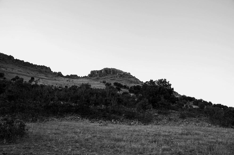 ERGANİ/GİSGİS (KESENTAŞ) YENİ ASSUR KABARTMASI Resim 2: Kabartmanın bulunduğu kayalık tepe, güneyden Kabartmanın en solunda, aslan üzerinde Tanrıça İştar olduğu anlaşılan bir figür betimlenmiştir.