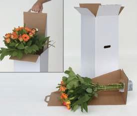 The insert is specially developed to ensure that the bouquet is secured in the box and does not shift during transport.