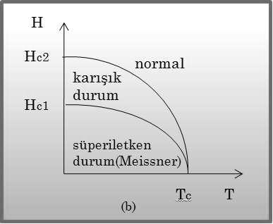 tip süperiletkenlere özgü bir durumdur. Akı çizgileri kuantumlu olarak malzemeye girer ve akı kuantası aşağıdaki denklemle ifade edilir. h Φ 0 = (2.