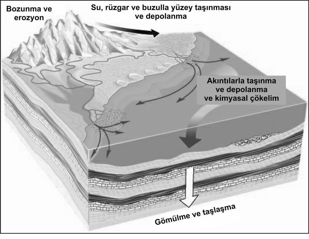 sedimantasyonu (tortullaşma), gömülmesi ve diyajenez safhaları Şekil 15.