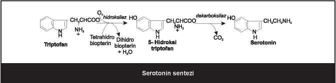 N-metil transferaz (kortizol tarafından aktive edilir) Dopaminin yıkım ürünü: Homovanilik asit Katekolaminlerin