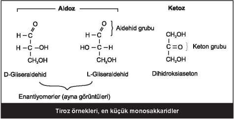 34 KARBONHĐDRAT METABOLĐZMASI Karbonhidratların sindirimi sonucu oluşan başlıca ürün, glukozdur, fakat galaktoz ve fruktoz da bir miktar üretilir.