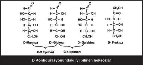 35 Fruktoz: Bir ketoheksozdur. Glukoz, galaktoz, mannoz: Bir aldoheksozdur.