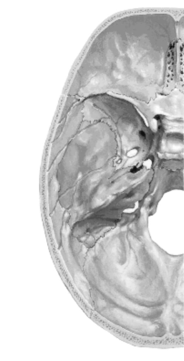 Biyoloji ve Genetik soruları ve açıklamaları bulunmaktadır. 1. Fossa cranii media daki bir tümör, aşağıdaki açıklıklardan hangisinden geçerek fossa infratemporalis e yayılır?