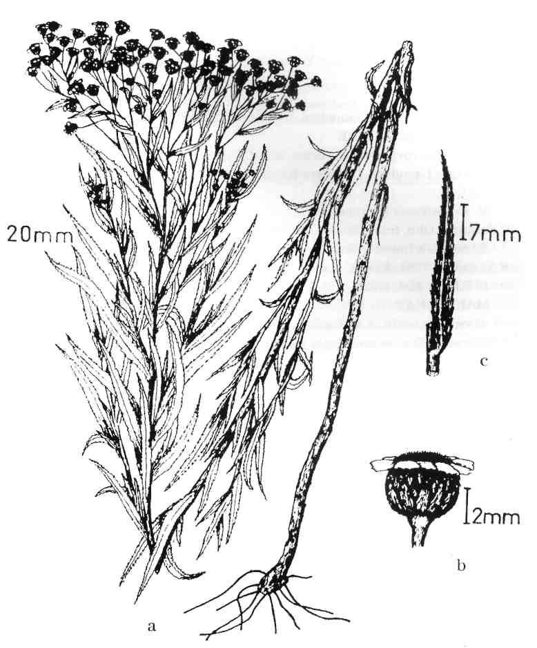 Ν. Demirkuş, A. Kaya 9 I Fig. 2.