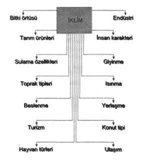 66 derece 33 dakika güney enlemlerinden geçer. KITALAR ve OKYANUSLAR Dünya yüzeyinin % 71 i Okyanus ve denizlerle, %29 u karalarla kaplıdır.