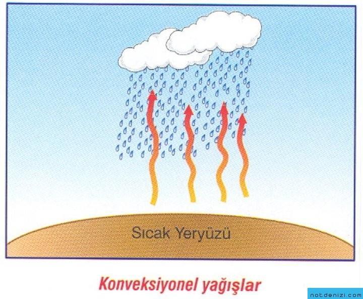 Sibirya'nın kuzeyi, Grönland kıyıları ve Kanada'nın kuzeyi görüldüğü yerlerdir. Tundra ikliminin görüldüğü yerlerde ren geyiği, misk öküzü ve bizn gibi hayvanlar görülür.