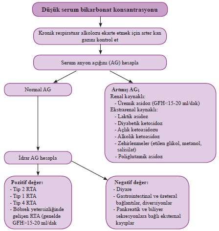 Düşük serum HCO3 konsantrasyonu Azalmış ph Azalmış Kronik respiratuvar serum HCO3 alkalozu konsantrasyonu ekarte etmek için arter KG * Serum AG hesapla Normal AG İdrar AG Artmış AG: Renal Üremik