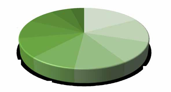 MÜHENDİSLİĞİ & TEKNOLOJİSİ 13% TURİZM & KAMP TESİSLERİ 10% SPONSORLAR 11% MENAJER