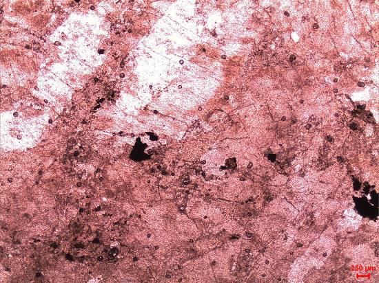 İkincil mineraller olarak gözlenen muskovit