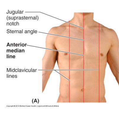 Linea mediana