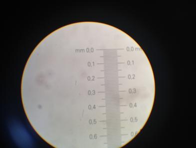Kalibre edilmiş mikrometreli lamı mikroskobun tablasına koyun ve odaklayın. 0.1 ve 0.01 mm dilimlerin farkını ayırt edebilmelisiniz.