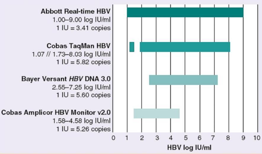 WHO göre HBV DNA yükü «IU/ml» olarak verilmelidir.