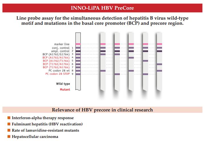 HBV infeksiyonlarında BCP ve precore mutasyonu ve