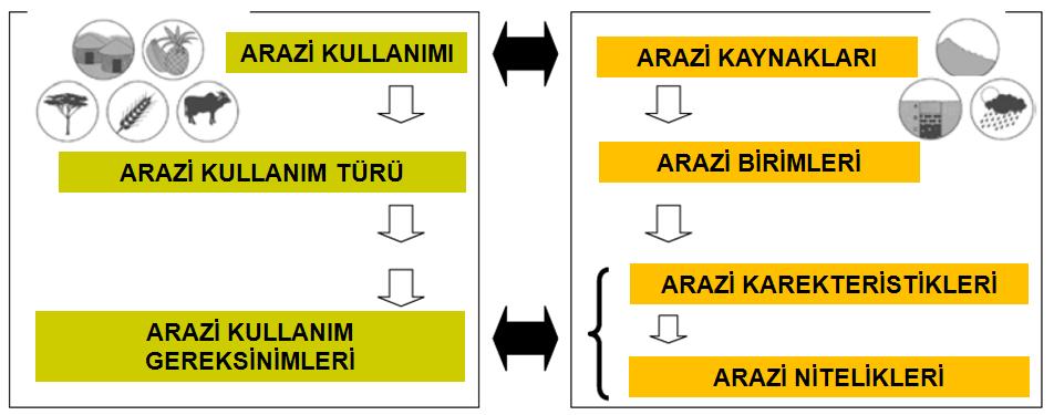 arazi değerlendirme terimleri şeması (tasarımı) (FAO, 1983) Food and Agricultural Organisation