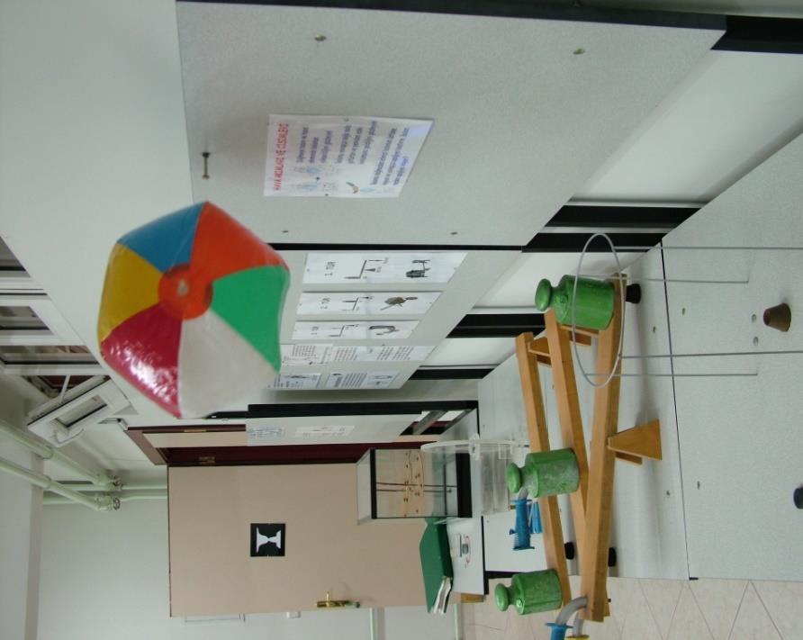 Fizik Oyunları Laboratuvarı 2000'li yılların başında Fizik Oyunları
