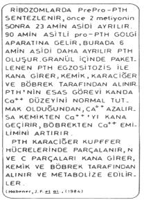 parçalanmış kemiği rezorbe eder PTH, osteoblast, osteoklast ve osteositlerin Ca geçirgenliğini, kemik sıvısından bu hüc.