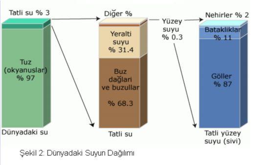 su kaynaklarına bakacak olursak: 193 km 3 lük toplam yüzey akışının 98 km 3 ü (%49), 69 km 3 lük yeraltı suyunun 12 km 3 ü (%17) tüketilebilir durumdadır.(şekil: 2) 2.2.1. TATLISU KAYNAKLARI 2.2.1.1. Göller ve göletler Ülkemizde doğal olarak bulunan 200 den fazla göl 9000 km 2 lik bir alanı kaplamaktadır.