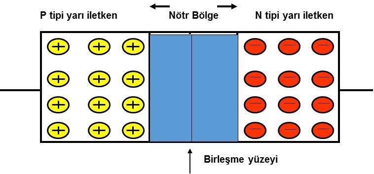 Polarmasız PN birleşiminde nötr bölgenin oluşumu Birleşme yüzeyi çevresinde nötr bölge oluşur.