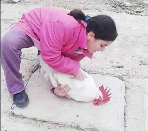 Edinilen bilgiye göre, cadde üzerinde bir iş yeri önüne bırakılan kutuyu gören vatandaşlar durumu polise bildirdi.