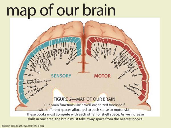 Brain Map