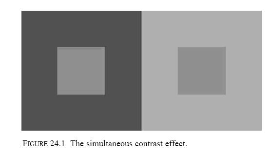 Visual System Processing Simultaneous contrast effect, which demonstrates a spatial interaction in lightness perception The two smaller squares are the same shade