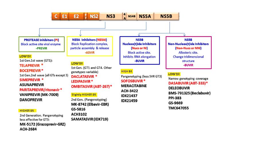 Perales C, Viruses