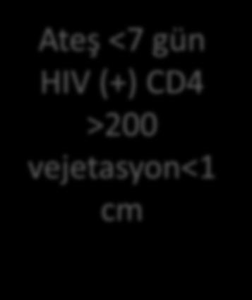 100-200 mg/kg/gün veya Seftriakson 1x2 g + Gentamisin 3mg/kg/gün 1x Beta laktam alerjisi Vankomisin 30 mg/kg/gün (2X) >65