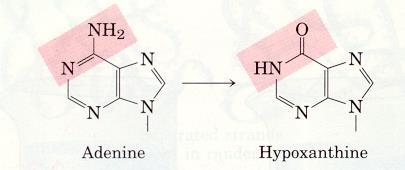 genetik bilginin