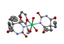 P-57 KARIŞIK LİGATLI i(ii)-5,5-dietilbarbiturat KMPLEKSLERİİ SETEZİ Tuğçe ÖZKA ve M. Suat AKSY Uludağ Üniversitesi, Fen-Edebiyat Fakültesi, Kimya Bölümü, 16059, Bursa tugcee.eroll@gmail.