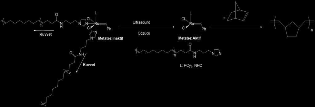 S-33 KEDİİ ARABİLE PLİMERİK SİSTEMLER İÇİ KİMYASAL ve MEKAİK LARAK AKTİVE EDİLEBİLE YEİ ESİL RUTEYUM KATALİZÖRLERİİ GELİŞTİRİLMESİ Bengi Özgün ÖZTÜRK 1, Solmaz KARABULUT ŞEHİTĞLU 1 1 Hacettepe