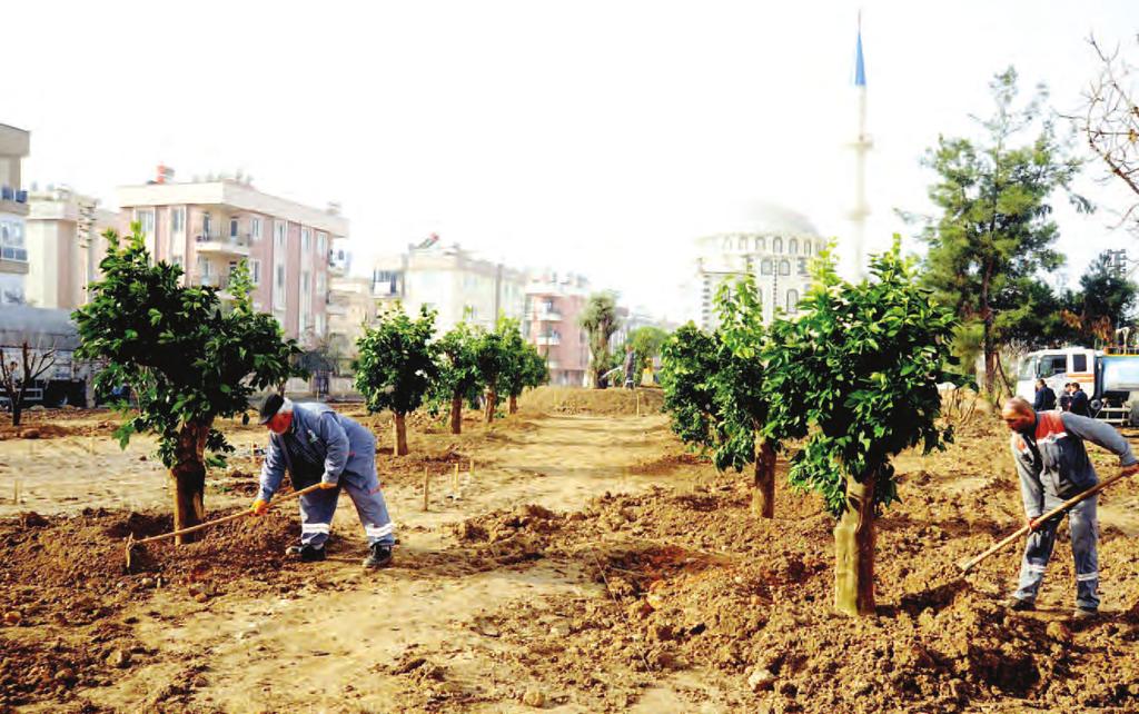 Belediye basın biriminden yapılan açıklamaya göre, Başkan Hakan Tütüncü nün, çocuklara armağanı olan Anadolu Bahçesi, Teomanpaşa Mahallesi Osman Serdengeçti Caddesi 2666 Sokak üzerinde 2 bin 495